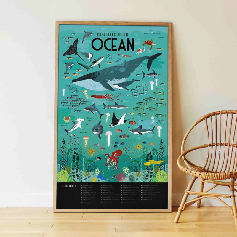 Poppik poster ja kleepsud Discovery “Ookean” Mänguasjad - HellyK - Kvaliteetsed lasteriided, villariided, barefoot jalatsid